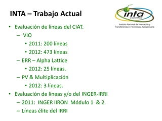 El cultivo del arroz en Costa Rica