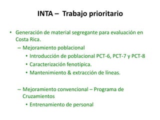 El cultivo del arroz en Costa Rica