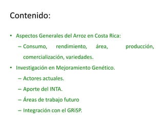 El cultivo del arroz en Costa Rica