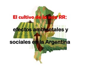 El cultivo de la soja RR: efectos ambientales y sociales en la Argentina 