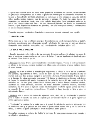 La yuca dulce contiene hasta 50 veces menos proporción de cianuro. No obstante, la concentración
de glucósidos cioanogenéticos en la raíces se puede ver afectada por las condiciones ambientales en
las que se han cultivado, por tanto, el consumo de variedades no sólo amargas de yuca, sino también
dulces pueden resultar peligroso para las personas o animales. Por tanto, las raíces han de ser
sometidas a un tratamiento previo, para evitar cualquier intoxicación. Estos tratamientos varían de un
país a otro, aunque existen tres tipos: - los que eliminan el glucósido, por lavado y/o prensado del
material, o por degradación enzimática del glucósido; - los que destruyen la enzima; - combinaciones
de los dos métodos anteriores.
Para evitar cualquier intoxicación alimentaria es conveniente que esté procesada para ingerirla.
12.- PROCESADO
De las raíces de la yuca se obtienen dos tipos de productos que son la yuca para harinas y "pelets",
destinados especialmente para alimentación animal y el almidón de yuca, que se usará en industrias
alimentarias (pan, pastelería, mermeladas, etc.) y no alimentarias (plásticos, pieles, etc.).
12.1. YUCA PARA HARINAS
- Lavado: importante sobre todo en las que proceden de suelos arcillosos. Se eliminan los restos de
tierra y arena que proporcionarían un mal color a la harina. El uso de lavadoras está justificado para
un volumen 20 tm de raíces por día.
- Troceado: se puede llevar a cabo manualmente o mediante máquinas. Ya que el coste del troceado
es inferior al del secado, conviene modificar este último para así minimizar el coste mediante trozos
de menor tamaño.
- Secado: con el fin de extraer la humedad por evaporación. El secado al sol es uno de los métodos
más comunes, especialmente en África. En éste los trozos de yuca se extienden en patios al sol y se
mueven cada dos días, evitando siempre su exposición a la lluvia. Un inconveniente de este método
es la duración del mismo que puede variar entre 7-12 días en la estación seca y algo más en la época
de lluvias. La duración del secado dependerá de la insolación, época del año, condiciones de la
atmósfera, etc. Por otra parte, existen varios sistemas para el secado forzado: secadores estáticos,
secadores de fondo movedizo, secadores de fondo fluidizado, secadores rotativos, secadores
neumáticos, etc. Con estos se logra un secado más homogéneo, se ahorra espacio y mano de obra y
no depende de las condiciones meteorológicas. El secado al fuego también se lleva a cabo en
determinados lugares.
- Molienda: tras el secado, se eliminan las impurezas, arena, tierra, etc. y a continuación el producto
pasa al molino de martillo. La harina es aspirada por un ventilador situado en la parte superior del
ciclón separador de harinas.
- "Peletización": a continuación la harina pasa a la unidad de peletización, donde es aglomerada por
la acción del calor y la presión. En esta etapa se puede añadir melaza, urea y sal. Al salir de la
unidad, se enfrían los pelets con objeto de evitar el quebrado de los gránulos.
En muchas ocasiones se prefieren los "pelets" a los trozos de yuca porque ocupan menos espacio, y
su calidad es más uniforme.
 