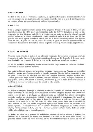 6.5.- APORCADO
Se lleva a cabo a los 2 - 3 meses de vegetación, en aquellos cultivos que no están mecanizados. Con
esto se consigue que las raíces reservantes se pueden desarrollar bien, y se evita la acción perniciosa
de los rayos solares, así como el ataque de roedores u otros animales.
6.6.- RIEGO
Sena y Campos realizaron estudios acerca de las exigencias hídricas de la yuca en Brasil, con una
precipitación anual de 1.196 mm y una temperatura media de 24,4º C. Sometieron el cultivo a tres
frecuencias de riego diferentes: cada 10, 14 y 18 días, más un testigo sin riego. Se observó como el
máximo rendimiento se obtuvo regando cada 14 días, seguido de cada 10 y por último cada 18. Las
parcelas que no se regaron obtuvieron sólo el 20% de la producción correspondiente a las regadas
cada 14 días. A pesar de ser un cultivo de secano, la yuca no produce económicamente en
condiciones de deficiencia de humedad, aunque las plantas crezcan y puedan dar algo de producción.
6.7.- MALAS HIERBAS
Con una buena rotación de cultivos y una adecuada preparación de los suelos, se consigue una baja
frecuencia de malas hierbas. Es importante controlarlas al comienzo del desarrollo de la yuca, puesto
que al coincidir con el periodo de lluvias, se evita que las semillas de las malezas germinen.
El uso de herbicidas preemergentes resulta bastante eficiente, especialmente en cultivo en caballones,
colocando las estacas en forma horizontal.
Las malas hierbas más comunes en las regiones tropicales y subtropicales de América con su nombre
científico y común son: Cyperus rotundus o corocillo o coquito, Eleusine indica o guarataro o pata
de gallina, Echinochloa sp, arrocillo o paja americana, Sorghum halepense, sorgo de halepo o millo,
Setaria geniculata, limpia botella o gusanillo, Cenchrus brownei o cadillo, Axonopus compresus o
paja peluda, Ipomea spp, batatilla o camotillo, Amaranthus sp, pira o bledo, Portulaca oleracea o
verdolaga y Sclerocarpus coffeacolus o flor amarilla o buba amarilla.
6.8.- ABONADO
El exceso de nitrógeno disminuye el contenido en almidón y aumenta las sustancias proteicas de las
raíces reservantes, lo cual influye en la producción de harinas integrales de yuca para alimentación
animal, pero no para la producción de almidones para uso industrial. Los abonos nitrogenados
minerales pueden ser nítricos(nitrato potásico y nitrato amónico) o amoniacales. En general se
prefiere estos últimos al nítrico. Para evitar la lixiviación, el nitrógeno se aplica en dos veces: en el
momento de la plantación y a los 2-3 meses de cultivo, siendo en esta última más recomendable la
urea, aplicada vía foliar. Los abonos nitrogenados orgánicos son: abonos verdes, los estiércoles y los
restos vegetales. La concentración de N2 de distintos fertilizantes nitrogenados es: Sulfato amónico
20,5%, Nitrato amónico 33,5 %, Urea 42 - 46 %, y Amoniaco anhidro 82,0%. Todos en estado
sólido, salvo el último que es en estado gaseoso.
El fósforo se utiliza en el proceso de fosforilación, mediante el cual se sintetiza el almidón. Los
síntomas de la deficiencia de fósforo son enanismo y un color de las hojas verde oscuro. Es
preferible aplicar fosfatos de calcio insolubles, en vez de superfosfatos triples en cultivos de ciclo de
 