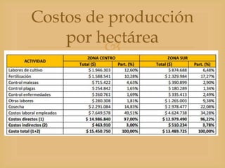 
Costos de producción
por hectárea
 