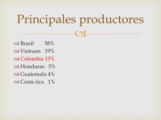 
 Brasil 58%
 Vietnam 19%
 Colombia 13%
 Honduras 5%
 Guatemala 4%
 Costa rica 1%
Principales productores
 