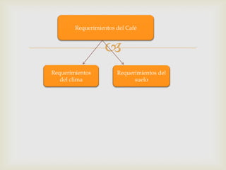 
Requerimientos del Café
Requerimientos
del clima
Requerimientos del
suelo
 