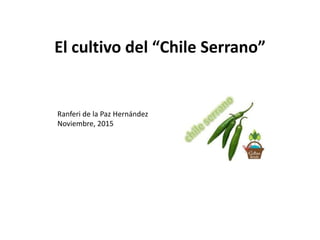 El cultivo del “Chile Serrano”
Ranferi de la Paz Hernández
Noviembre, 2015
 