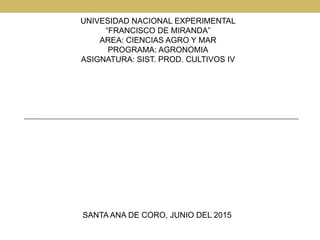 UNIVESIDAD NACIONAL EXPERIMENTAL
“FRANCISCO DE MIRANDA”
AREA: CIENCIAS AGRO Y MAR
PROGRAMA: AGRONOMIA
ASIGNATURA: SIST. PROD. CULTIVOS IV
SANTA ANA DE CORO, JUNIO DEL 2015
 