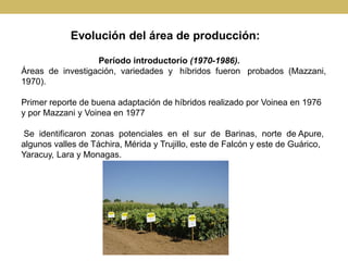 Evolución del área de producción:
Período introductorío (1970-1986).
Áreas de investigación, variedades y híbridos fueron ...