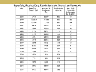 Superficie, Producción y Rendimiento del Girasol en Venezuela
Año Superficie
Cosech. (ha)
Volumen de
Producción
Tm
Rendimi...