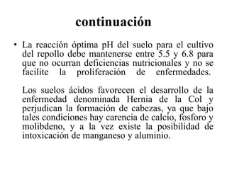 continuación
• La reacción óptima pH del suelo para el cultivo
del repollo debe mantenerse entre 5.5 y 6.8 para
que no ocurran deficiencias nutricionales y no se
facilite la proliferación de enfermedades.
Los suelos ácidos favorecen el desarrollo de la
enfermedad denominada Hernia de la Col y
perjudican la formación de cabezas, ya que bajo
tales condiciones hay carencia de calcio, fosforo y
molibdeno, y a la vez existe la posibilidad de
intoxicación de manganeso y aluminio.
 