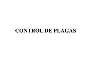 CONTROL DE PLAGAS
 