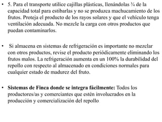 • 5. Para el transporte utilice cajillas plásticas, llenándolas ¾ de la
capacidad total para estibarlas y no se produzca machucamiento de los
frutos. Proteja el producto de los rayos solares y que el vehículo tenga
ventilación adecuada. No mezcle la carga con otros productos que
puedan contaminarlos.
• Si almacena en sistemas de refrigeración es importante no mezclar
con otros productos, revise el producto periódicamente eliminando los
frutos malos. La refrigeración aumenta en un 100% la durabilidad del
repollo con respecto al almacenado en condiciones normales para
cualquier estado de madurez del fruto.
• Sistemas de Finca donde se integra fácilmente: Todos los
productores/as y comerciantes que estén involucrados en la
producción y comercialización del repollo.
 