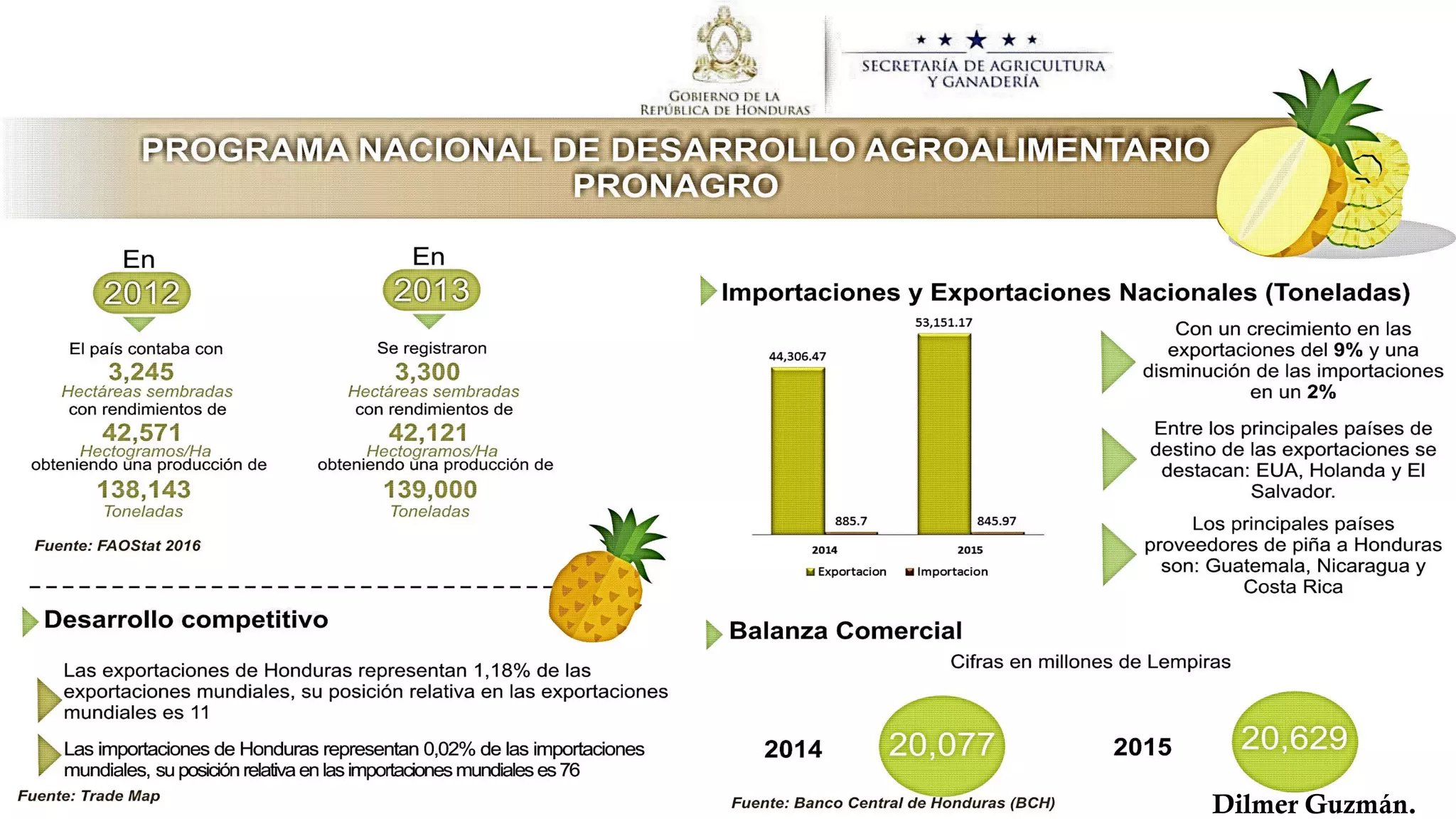 El Cultivo de Piña Honduras | PPT