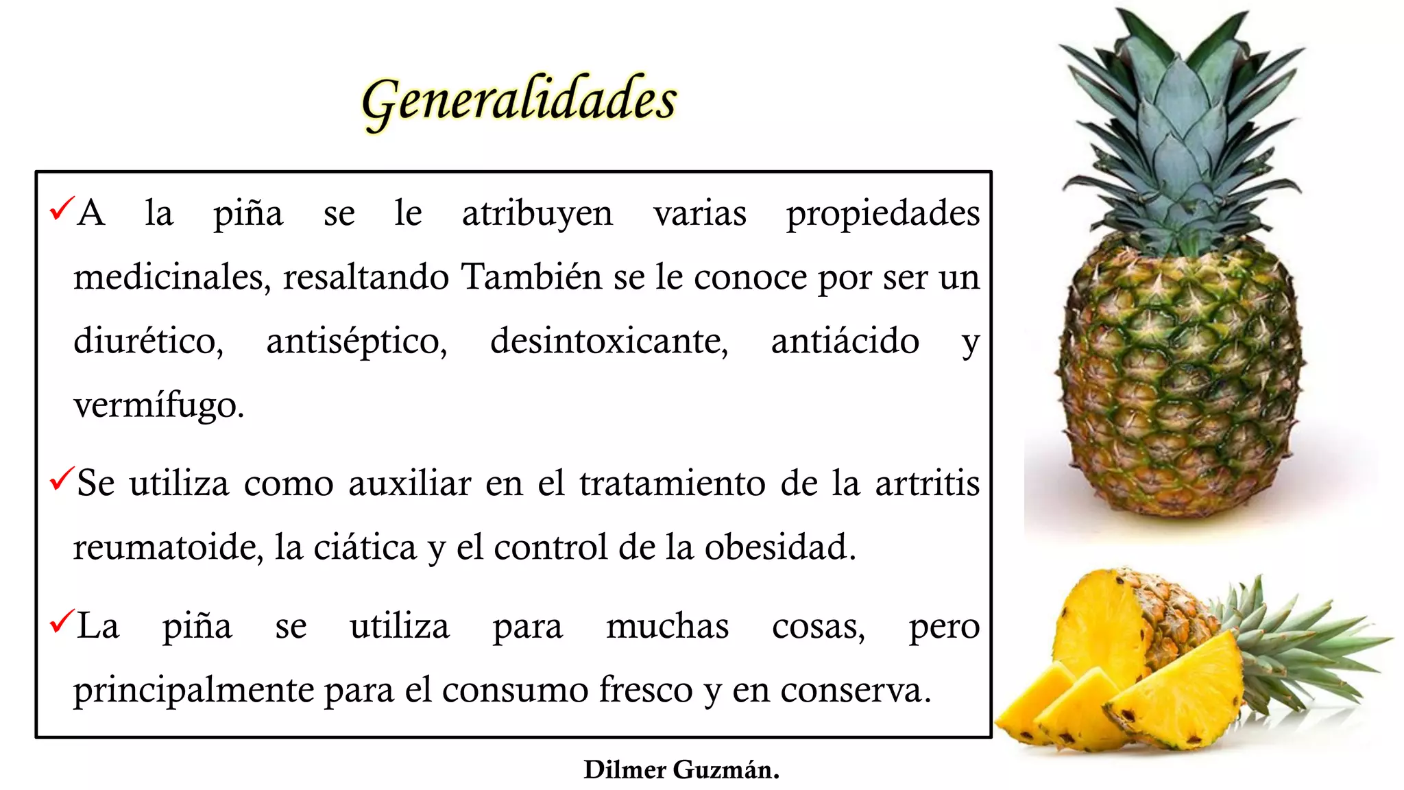El Cultivo de Piña Honduras | PDF