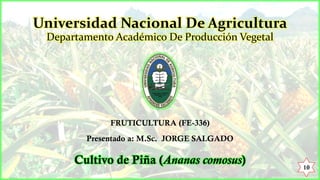 Universidad Nacional De Agricultura
Departamento Académico De Producción Vegetal
FRUTICULTURA (FE-336)
Presentado a: M.Sc. JORGE SALGADO
Cultivo de Piña (Ananas comosus) 10
 