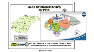 El Cultivo de Piña Honduras | PDF