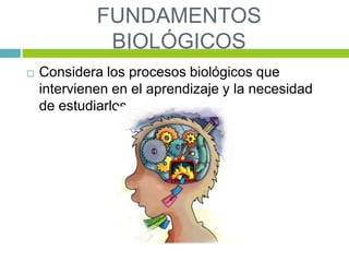 FUNDAMENTOS
BIOLÓGICOS
 Considera los procesos biológicos que
intervienen en el aprendizaje y la necesidad
de estudiarlos.
 