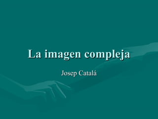 La imagen compleja
     Josep Catalá
 
