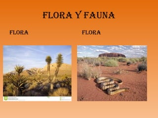 FLORA Y FAUNA
FLORA FLORA
 