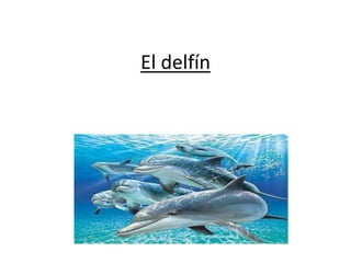 El delfín
 