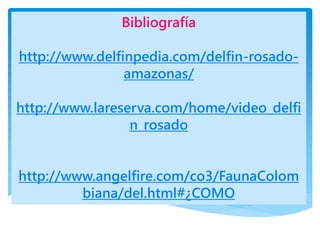 Bibliografía
http://www.delfinpedia.com/delfin-rosado-
amazonas/
http://www.lareserva.com/home/video_delfi
n_rosado
http://www.angelfire.com/co3/FaunaColom
biana/del.html#¿COMO
 