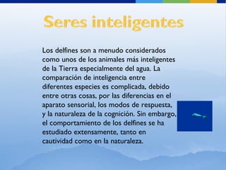 Los delfines son a menudo considerados como unos de los animales más inteligentes de la Tierra especialmente del agua. La comparación de inteligencia entre diferentes especies es complicada, debido entre otras cosas, por las diferencias en el aparato sensorial, los modos de respuesta, y la naturaleza de la cognición. Sin embargo, el comportamiento de los delfines se ha estudiado extensamente, tanto en cautividad como en la naturaleza. 