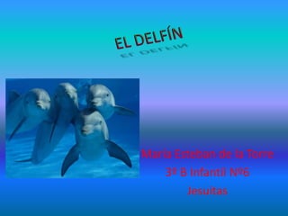 María Esteban de la Torre
3º B Infantil Nº6
Jesuitas