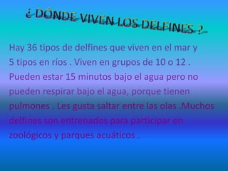 Hay 36 tipos de delfines que viven en el mar y
5 tipos en ríos . Viven en grupos de 10 o 12 .
Pueden estar 15 minutos bajo el agua pero no
pueden respirar bajo el agua, porque tienen
pulmones . Les gusta saltar entre las olas .Muchos
delfines son entrenados para participar en
zoológicos y parques acuáticos .