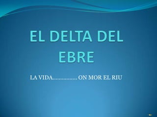 EL DELTA DEL EBRE LA VIDA……………. ON MOR EL RIU 
