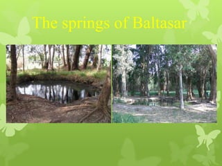 The springs of Baltasar
 