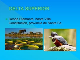  Desde Diamante, hasta Villa
Constitución, provincia de Santa Fe.
 
