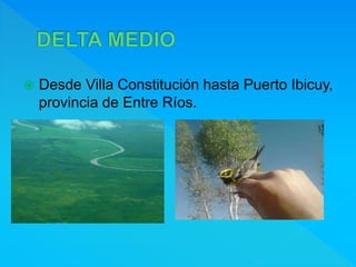  Desde Villa Constitución hasta Puerto Ibicuy,
provincia de Entre Ríos.
 