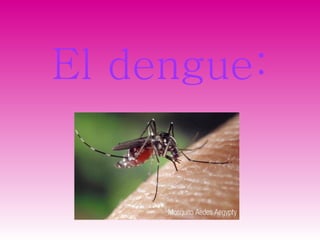 El dengue: 