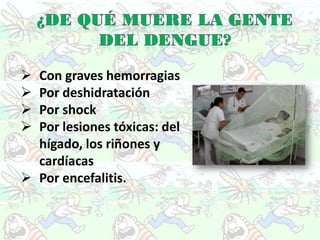  Con graves hemorragias
 Por deshidratación
 Por shock
 Por lesiones tóxicas: del
  hígado, los riñones y
  cardíacas
 Por encefalitis.
 