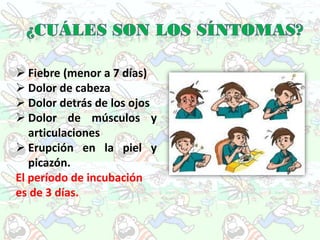  Fiebre (menor a 7 días)
 Dolor de cabeza
 Dolor detrás de los ojos
 Dolor de músculos y
   articulaciones
 Erupción en la piel y
   picazón.
El período de incubación
es de 3 días.
 