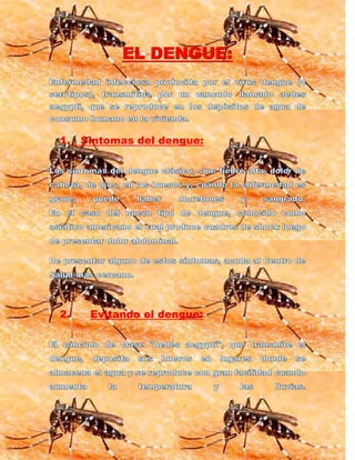 1.   Síntomas del dengue:




2.    Evitando el dengue:
 