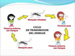 El dengue: Dylan 