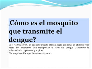 Cómo es el mosquito
que transmite el
dengue?
¿

Es el Aedes aegypti, un pequeño insecto blanquinegro con rayas en el dorso y las
patas. Los mosquitos que transportan el virus del dengue transmiten la
enfermedad a la persona que pican.
El mosquito mide aproximadamente 5 mm.

 