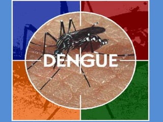 El Dengue 
 
