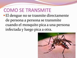 COMO SE TRANSMITE
El dengue no se trasmite directamente
de persona a persona se transmite
cuando el mosquito pica a una persona
infectada y luego pica a otra.
 