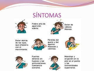 SÍNTOMAS
 