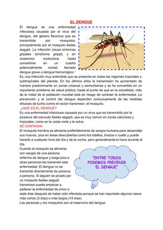 EL DENGUE 
El dengue es una ​enfermedad         
infecciosa causada por el ​virus del           
dengue​, del género ​flavivirus que es           
transmitida por mosquitos,     
principalmente por el mosquito Aedes         
aegypti​. La infección causa síntomas         
gripales (​síndrome gripal​), y en         
ocasiones evoluciona hasta     
convertirse en un cuadro       
potencialmente mortal, llamado     
dengue grave o dengue hemorrágico.​1
         
Es una infección muy extendida que se presenta en todas las regiones tropicales y                           
subtropicales del planeta. En los últimos años la transmisión ha aumentado de                       
manera predominante en zonas urbanas y semiurbanas y se ha convertido en un                         
importante problema de salud pública, hasta el punto de que en la actualidad, más                           
de la mitad de la población mundial está en riesgo de contraer la enfermedad. La                             
prevención y el control del dengue dependen exclusivamente de las medidas                     
eficaces de lucha contra el vector transmisor, el mosquito. 
 ​¿QUÉ ES EL DENGUE? 
Es una enfermedad infecciosa causada por un virus que es transmitido por la 
picadura del zancudo Aedes aegypti, que es muy común en zonas calurosas y 
tropicales; como en la costa norte y la selva. 
SE CONTAGIA: 
El mosquito hembra se alimenta preferiblemente de sangre humana para desarrollar 
sus huevos, pica en áreas descubiertas como los tobillos, brazos o cuello y puede 
hacerlo a cualquier hora del día y de la noche, pero generalmente lo hace durante el 
día. 
Cuando el mosquito se alimenta 
con sangre de una persona 
enferma de dengue y luego pica a 
otras personas les transmite esta 
enfermedad. El dengue no se 
transmite directamente de persona 
a persona. Si alguien es picado por 
un mosquito Aedes aegypti 
transmisor puede empezar a 
padecer la enfermedad de cinco a 
siete días después de haber sido infectado,aunque se han reportado algunos casos 
más cortos (3 días) o más largos (14 días). 
Las personas y los mosquitos son el reservorio del dengue. 
 
 