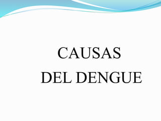 CAUSAS
DEL DENGUE
 