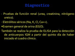 Diagnostico
· Pruebas de función renal (urea, creatinina, nitrógeno
ureico).
· Eletrólitos séricos (Na, K, Cl, Ca++).
•Examen general de orina (EGO).
También se realiza la prueba de ELISA para la detección
de anticuerpos IGM a partir del quinto día de haber
iniciado el cuadro clínico.
 