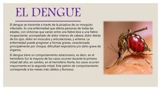 EL DENGUE
El dengue se transmite a través de la picadura de un mosquito
infectado. Es una enfermedad que afecta personas de todas las
edades, con síntomas que varían entre una fiebre leve a una fiebre
incapacitante, acompañado de dolor intenso de cabeza, dolor detrás
de los ojos, dolor en músculos y articulaciones, y eritema. La
enfermedad puede progresar a formas graves, caracterizada
principalmente por choque, dificultad respiratoria y/o daño grave de
órganos.
El dengue tiene un comportamiento estacionario, es decir, en el
hemisferio Sur la mayoría de los casos ocurren durante la primera
mitad del año, en cambio, en el hemisferio Norte, los casos ocurren
mayormente en la segunda mitad. Este patrón de comportamiento
corresponde a los meses más cálidos y lluviosos.
 