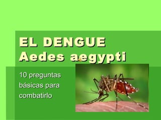 EL DENGUE Aedes aegypti 10 preguntas básicas para combatirlo 