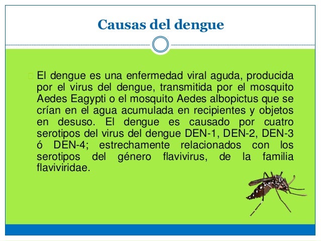 El dengue y casos en Panamá