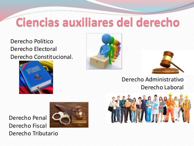 El derecho. silvana vannini