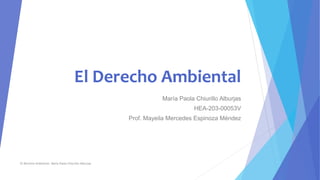 El Derecho Ambiental
María Paola Chiurillo Alburjas
HEA-203-00053V
Prof. Mayeila Mercedes Espinoza Méndez
El Derecho Ambiental. María Paola Chiurillo Alburjas
 