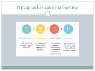 Principios básicos de la bioética.